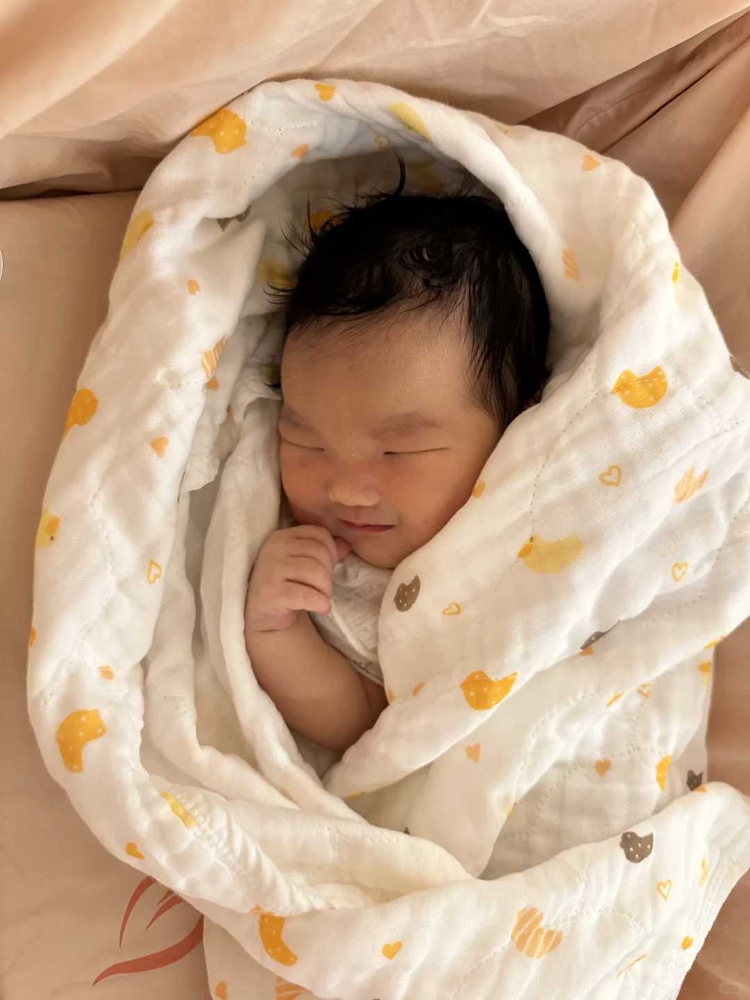 南京借卵生子包生儿子需要多少钱？费用8-20万不等！